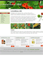 Mobile Screenshot of lichorerisnice.cz